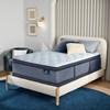Renewed Sleep Plush Pillow Top Mattress Set (Queen) image 7