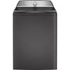 4.9 cu.ft. Top Loading Washer with FlexDispense™ (PTW605BPRDG) image 1