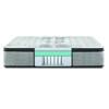 Carbon Plush Pillow Top Mattress (Twin) image 3