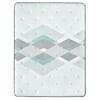 Carbon Plush Pillow Top Mattress (Twin) image 4
