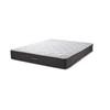 Adrian Firm Tight Top Mattress (Twin XL) image 1