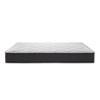 Adrian Firm Tight Top Mattress (Twin XL) image 3
