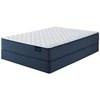 Meadow Brook Firm Mattress Set (Twin) image 1
