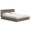 Shallifer Queen Panel Bed (EB1104-257/EB1104-213) image 1