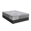 Oriole Medium Hybrid Mattress Set (Twin XL) image 1