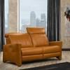 Alex Power Reclining Polyurethane Sofa (Alex Condo Sofa) image 4