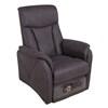 Fauteuil releveur en tissu (6386FAHERO019) image 1