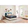 Brenham Firm Hybrid Mattress Set (King) image 6