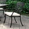 Charissa CM-OT2125-AC-2PK Arm Chair image 1
