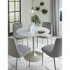 Barchoni Dining Chair (D262-01) image 10