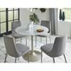 Barchoni Dining Chair (D262-01) image 9