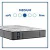 Determination II Medium Tight Top Mattress Set (King) image 6