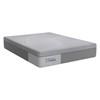 Chablis Firm Hybrid Mattress (Twin XL) image 1
