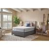 Chablis Firm Hybrid Mattress (Twin XL) image 12