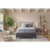 Chablis Firm Hybrid Mattress (Twin XL) image 13