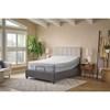 Chablis Firm Hybrid Mattress (Twin XL) image 17