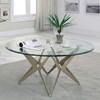 Alvise Coffee Table (CM4377C-TABLE) image 1