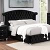 Zohar Queen Bed (CM7130BK-Q-BED) image 1