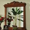 Venice Dresser Mirror (CM7650DK-M) image 1