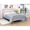 Diana California King Panel Bed (CM7939CK) image 1