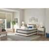 Diggens Medium Euro Pillow Top Mattress (Twin) image 11