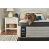 Diggens Medium Euro Pillow Top Mattress (Twin) image 19