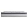 Diggens Medium Euro Pillow Top Mattress (Twin) image 3