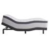 Diggens Medium Euro Pillow Top Mattress (Twin) image 9