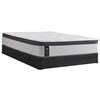 Diggens Medium Euro Pillow Top Mattress Set (Twin) image 1
