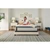 Diggens Medium Euro Pillow Top Mattress Set (Twin) image 11