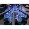 36-inch Freestanding Dual Fuel Range with True Convection Technology (BSDF366BWCC) image 5