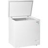 7 cu.ft. Chest Freezer (DCF070A5WDB) image 12