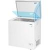 7 cu.ft. Chest Freezer (DCF070A5WDB) image 4