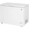 10 cu.ft. Chest Freezer (DCF100A5WDB) image 3