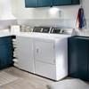 7.0 cu. ft. Gas Dryer with Pet Plus™ Cycles (ADGE9RYS118TW01) image 5