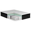 Victory Mattress Set (Twin XL) image 3