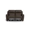 Asher Power Reclining Leather Match Loveseat (41065-L7-SOLANA-MOUNTAIN-MATCH) image 2