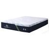 F20GL Plush Mattress (King) image 1