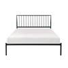 Augusta Queen Platform Bed (1630-1) image 1