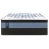 Veronique Firm Euro Top Mattress (Twin XL) image 5