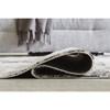 Langwell R406782 Medium Rug image 4