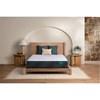 Droplet Extra Firm Mattress (Twin) image 5