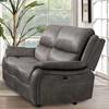 Henricus Reclining Fabric Loveseat (CM9911DG-LV) image 1