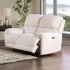 Morcote Power Reclining Loveseat (FM62001BG-LV-PM) image 1