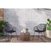 Livana FM80002BB-CH-2PK Outdoor Chair image 2