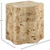 Zaire End Table (99067Burl-ET) image 8
