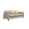 Petra Stationary Fabric Sofa (64067D B143934) image 1