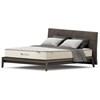 Dylan Firm Mattress (California King) image 5