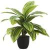 Artificial Plant Indoor Dracaena (I 9573) image 1