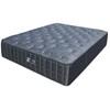 Phantom Firm Mattress (Queen) image 2